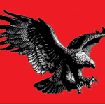 Scream'in Eagle Sales Ltd.